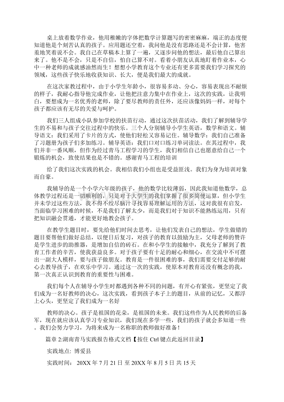 湖南青马实践报告格式文档3篇Word文档格式.docx_第2页