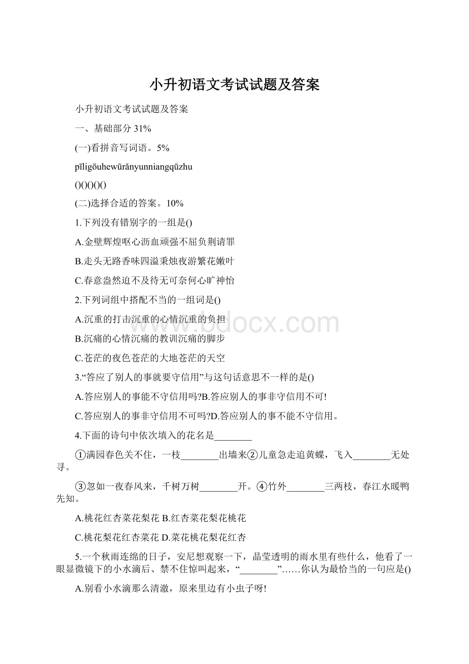 小升初语文考试试题及答案.docx