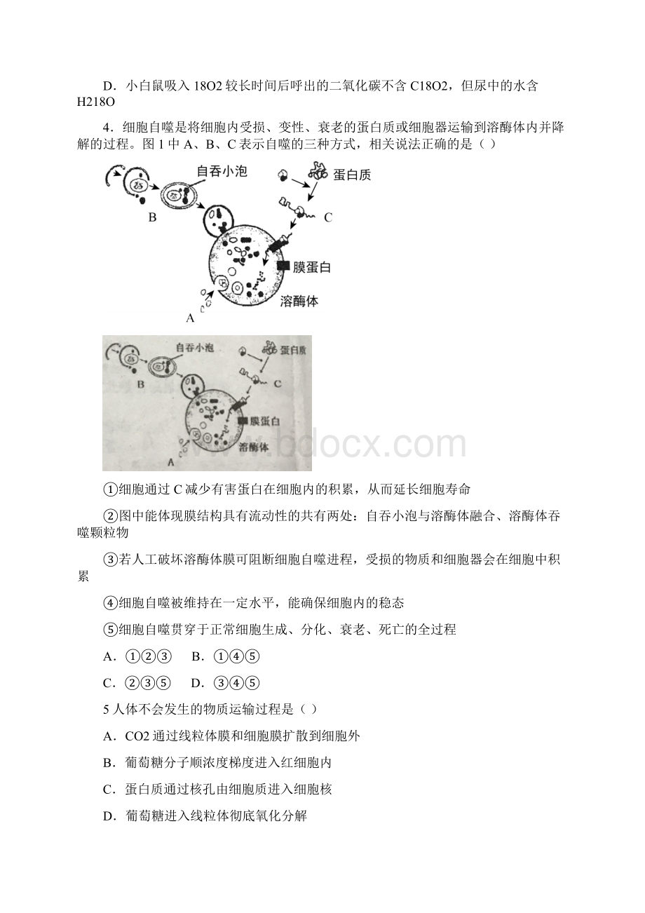 北京市清华大学附属中学届高三上学期开学摸底考试生物试题Word版缺答案.docx_第2页