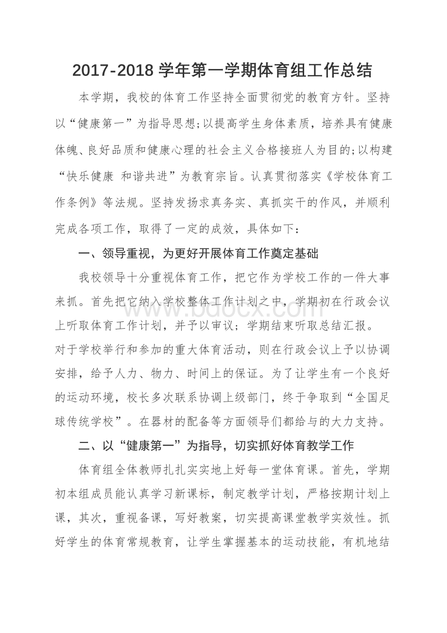 体育组总结Word文档格式.docx