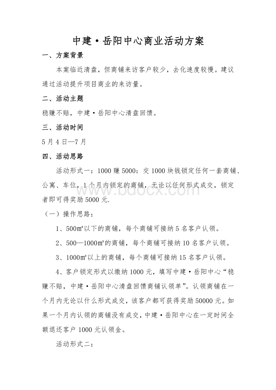 中建岳阳中心商业活动方案.doc