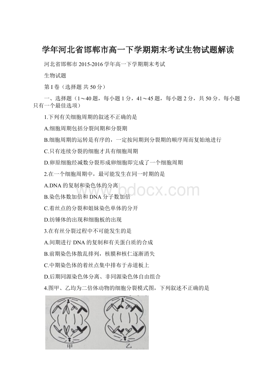 学年河北省邯郸市高一下学期期末考试生物试题解读Word格式文档下载.docx_第1页