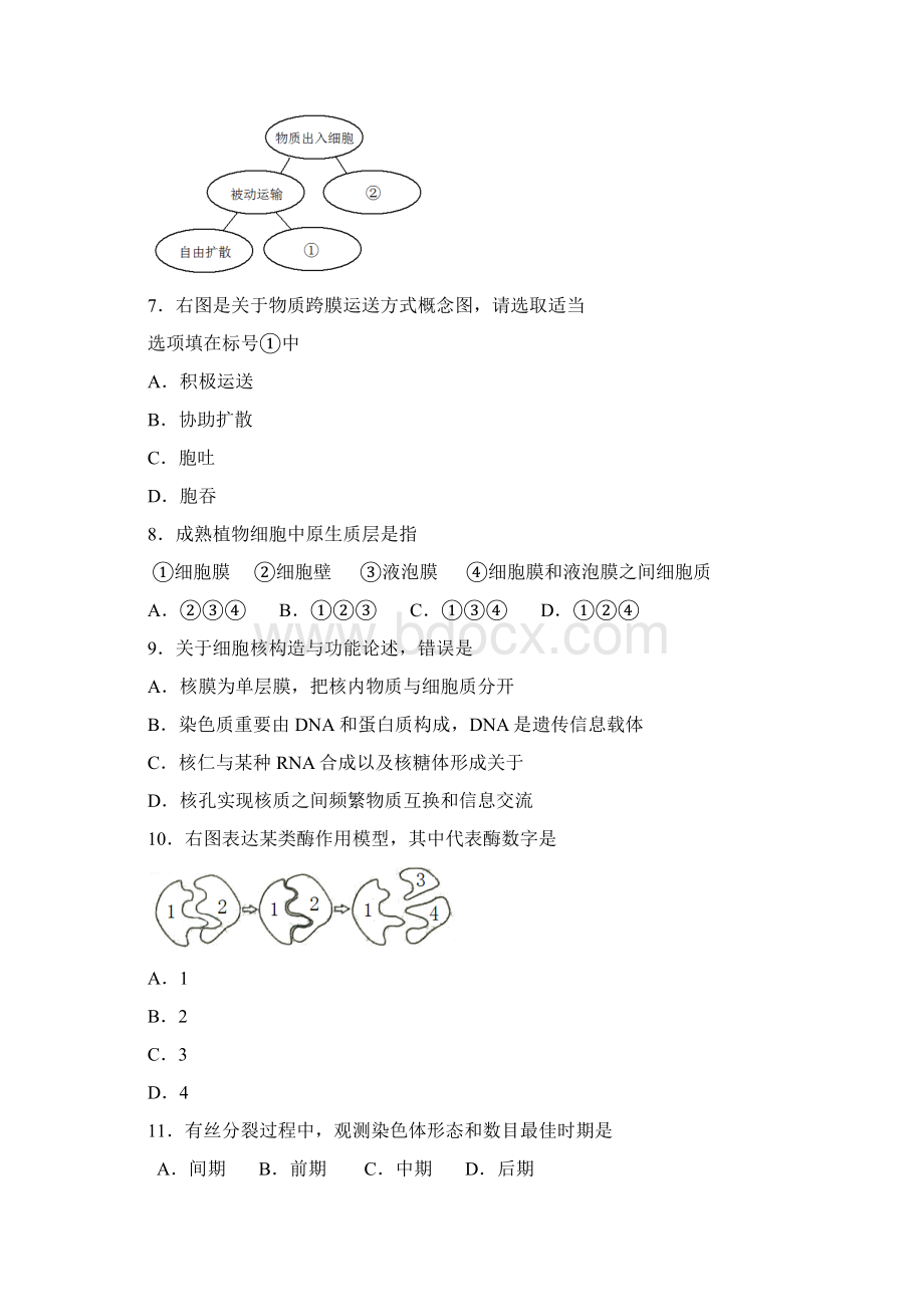 湖南省生物学业水平试题含答案.docx_第2页