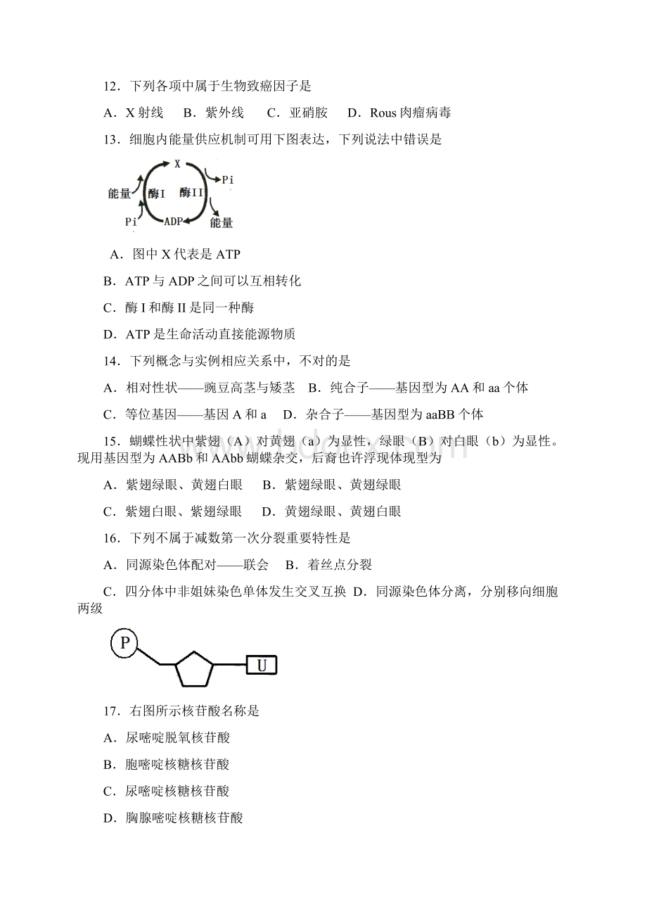 湖南省生物学业水平试题含答案.docx_第3页