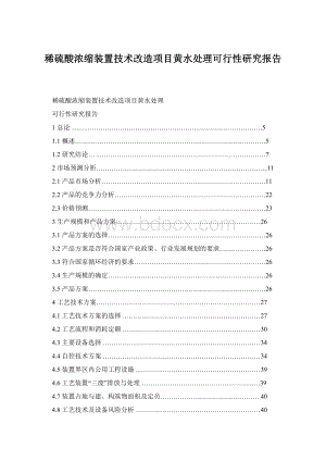 稀硫酸浓缩装置技术改造项目黄水处理可行性研究报告Word格式.docx