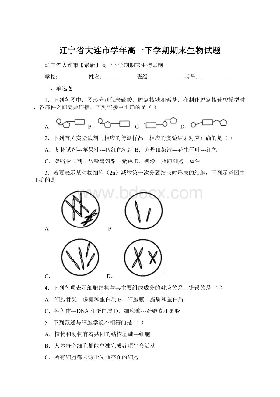 辽宁省大连市学年高一下学期期末生物试题Word文档下载推荐.docx