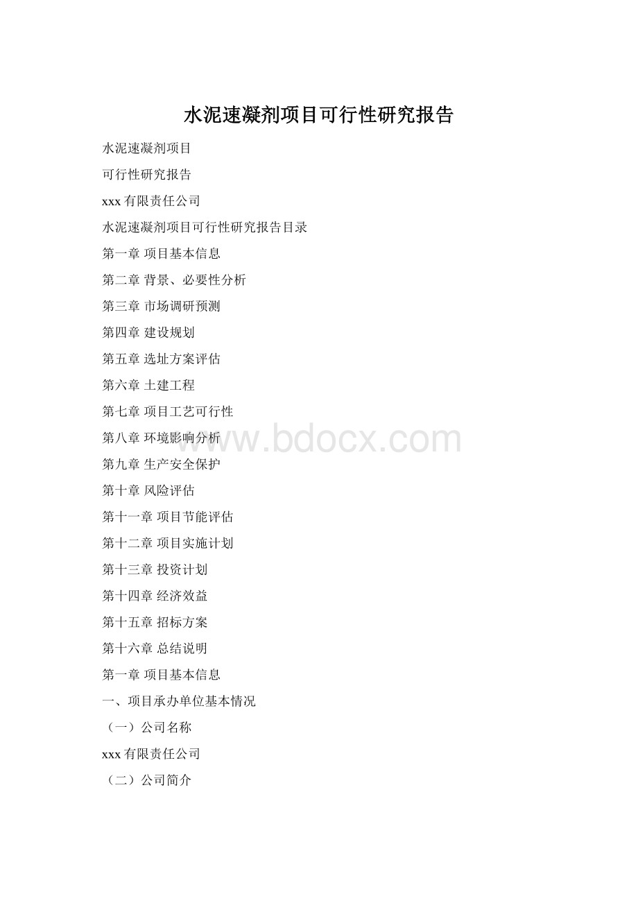 水泥速凝剂项目可行性研究报告Word文档格式.docx_第1页