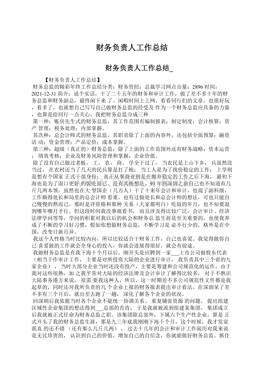 财务负责人工作总结文档格式.docx