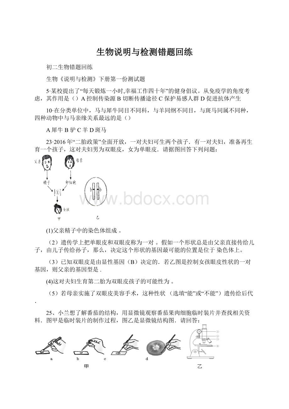 生物说明与检测错题回练Word文件下载.docx_第1页