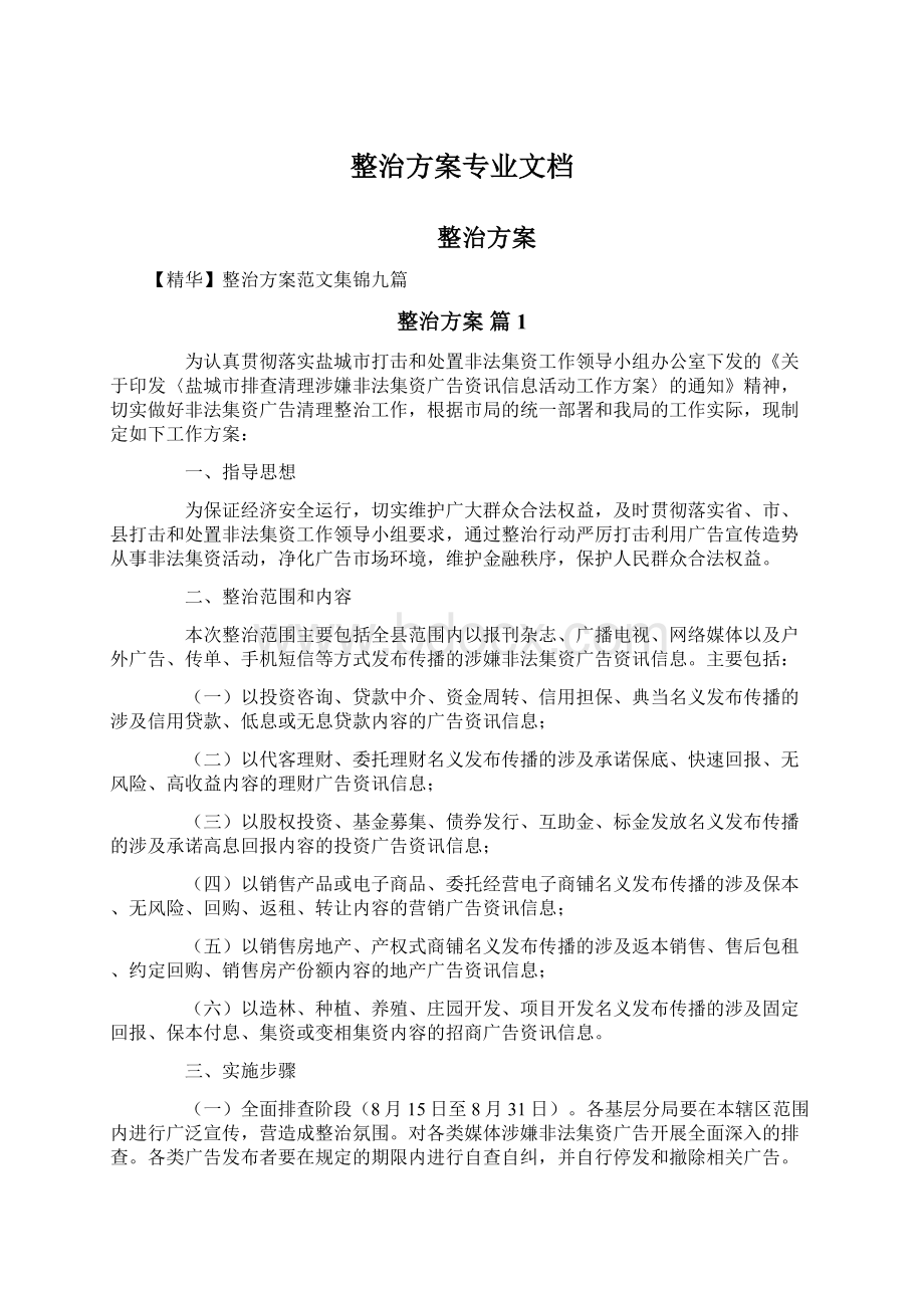 整治方案专业文档Word文档格式.docx