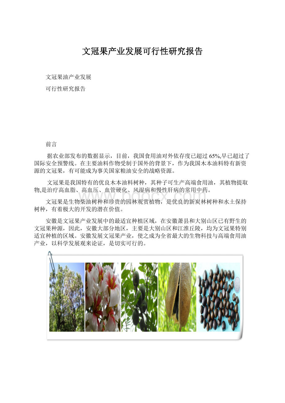 文冠果产业发展可行性研究报告Word格式.docx_第1页