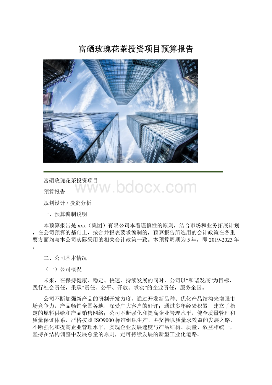 富硒玫瑰花茶投资项目预算报告文档格式.docx_第1页