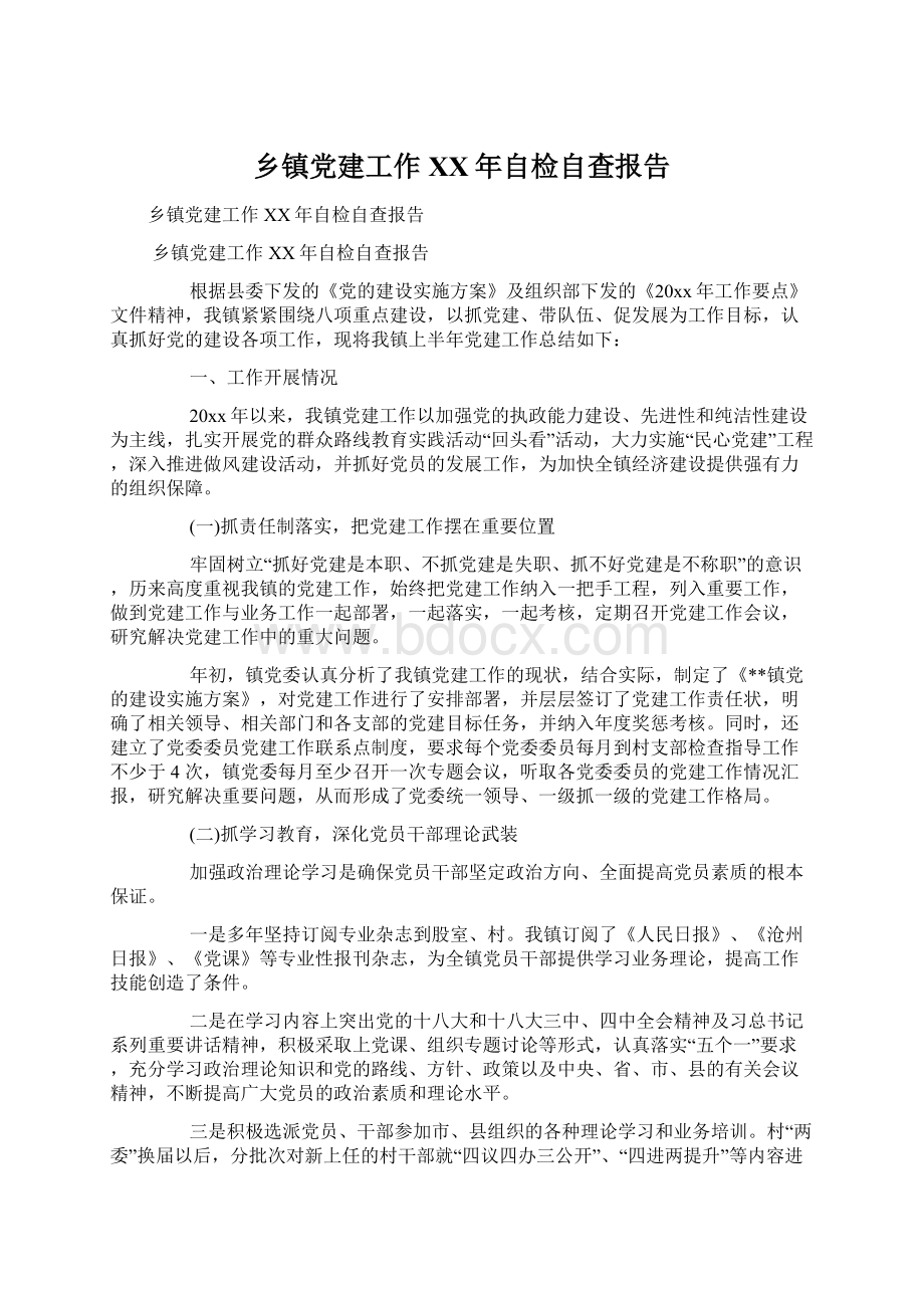 乡镇党建工作XX年自检自查报告文档格式.docx