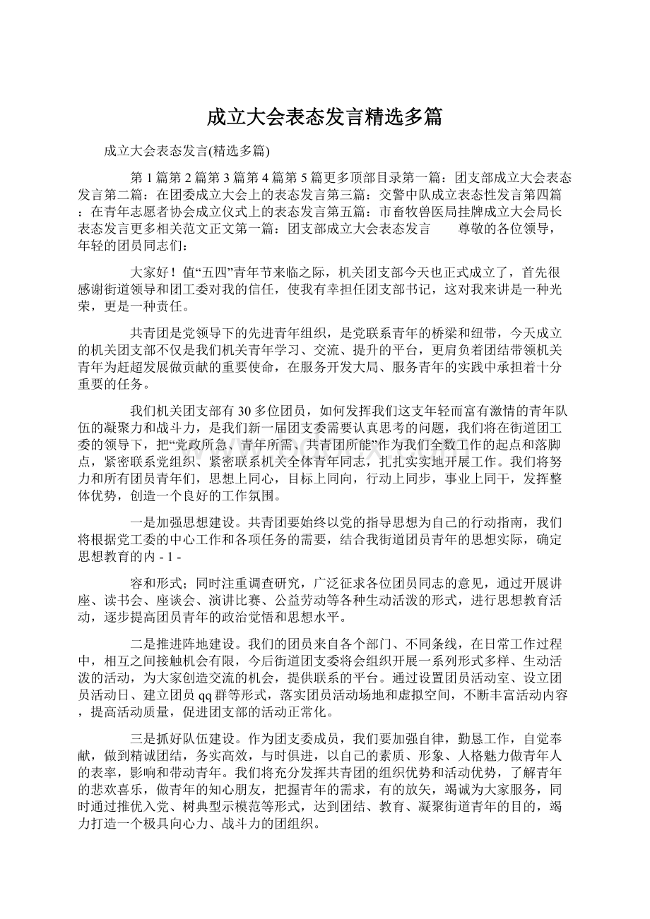 成立大会表态发言精选多篇.docx