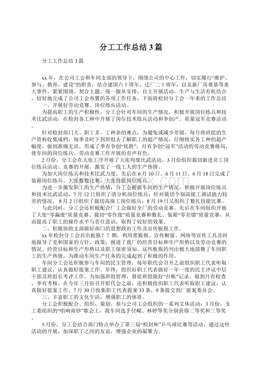 分工工作总结3篇文档格式.docx