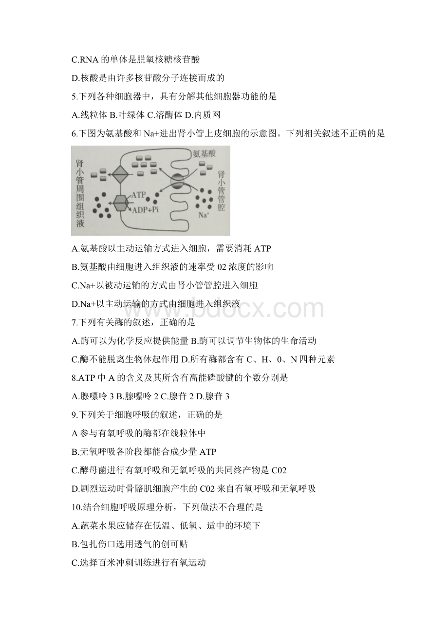 北京市海淀区学年高二上学期期末生物试题Word格式文档下载.docx_第2页