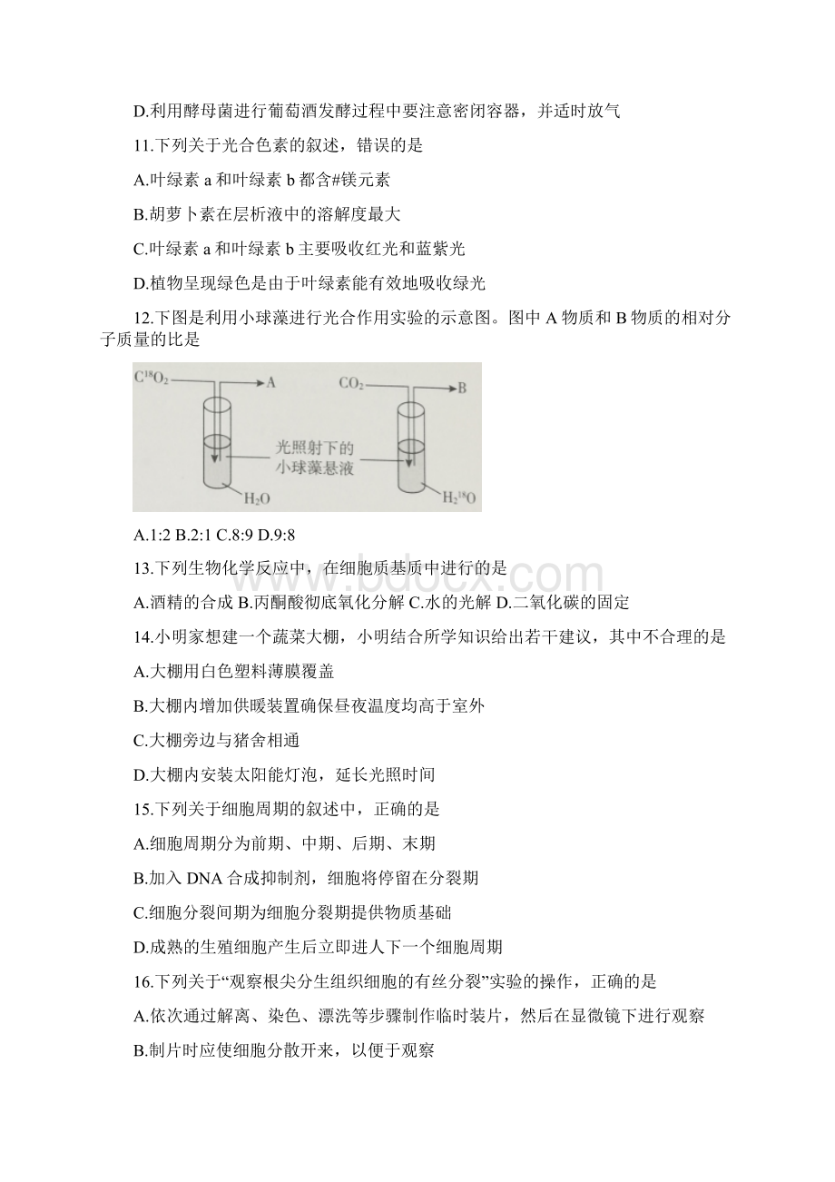 北京市海淀区学年高二上学期期末生物试题Word格式文档下载.docx_第3页