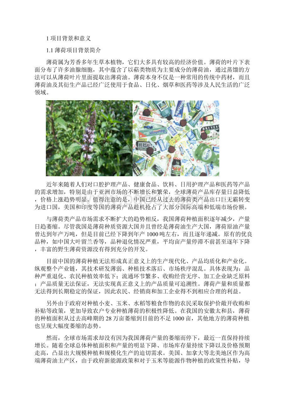 精撰薄荷行业产业化经营项目商业计划书.docx_第3页