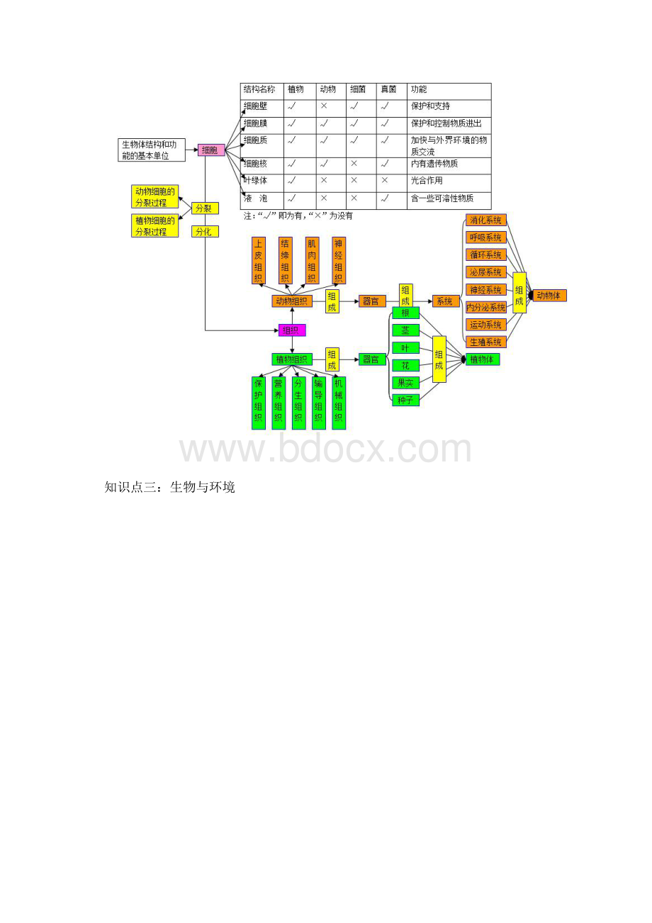 初中生物知识点梳理思维导图Word文档格式.docx_第2页