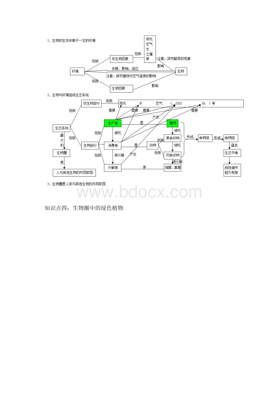 初中生物知识点梳理思维导图Word文档格式.docx_第3页