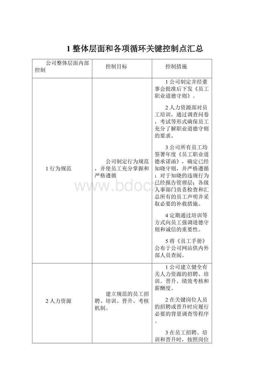 1整体层面和各项循环关键控制点汇总.docx