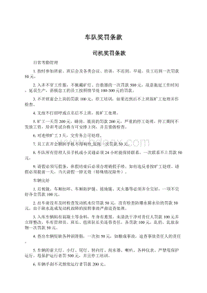 车队奖罚条款Word文档下载推荐.docx