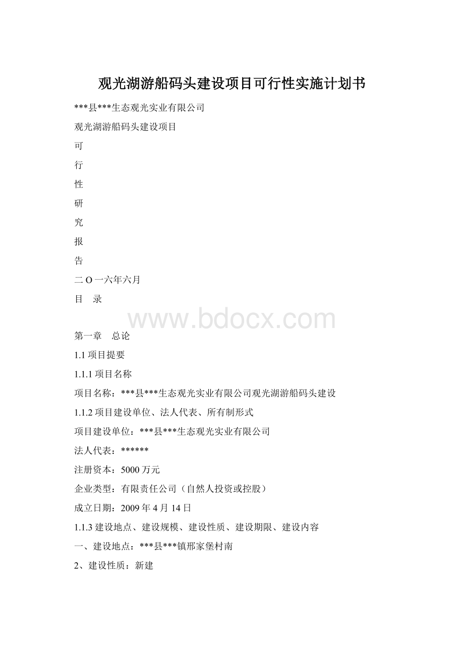 观光湖游船码头建设项目可行性实施计划书Word文档格式.docx_第1页