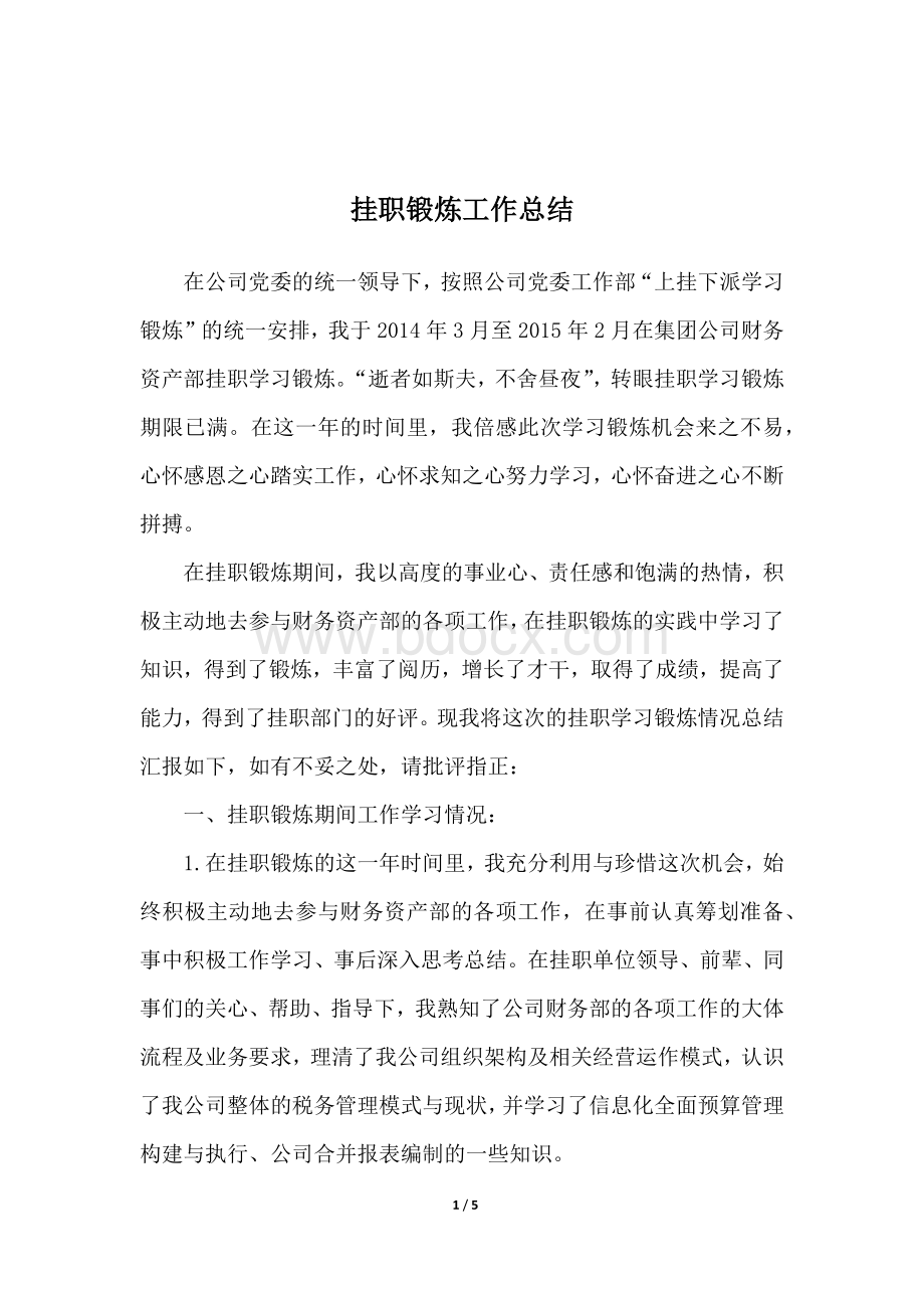 挂职锻炼工作总结(全年).docx