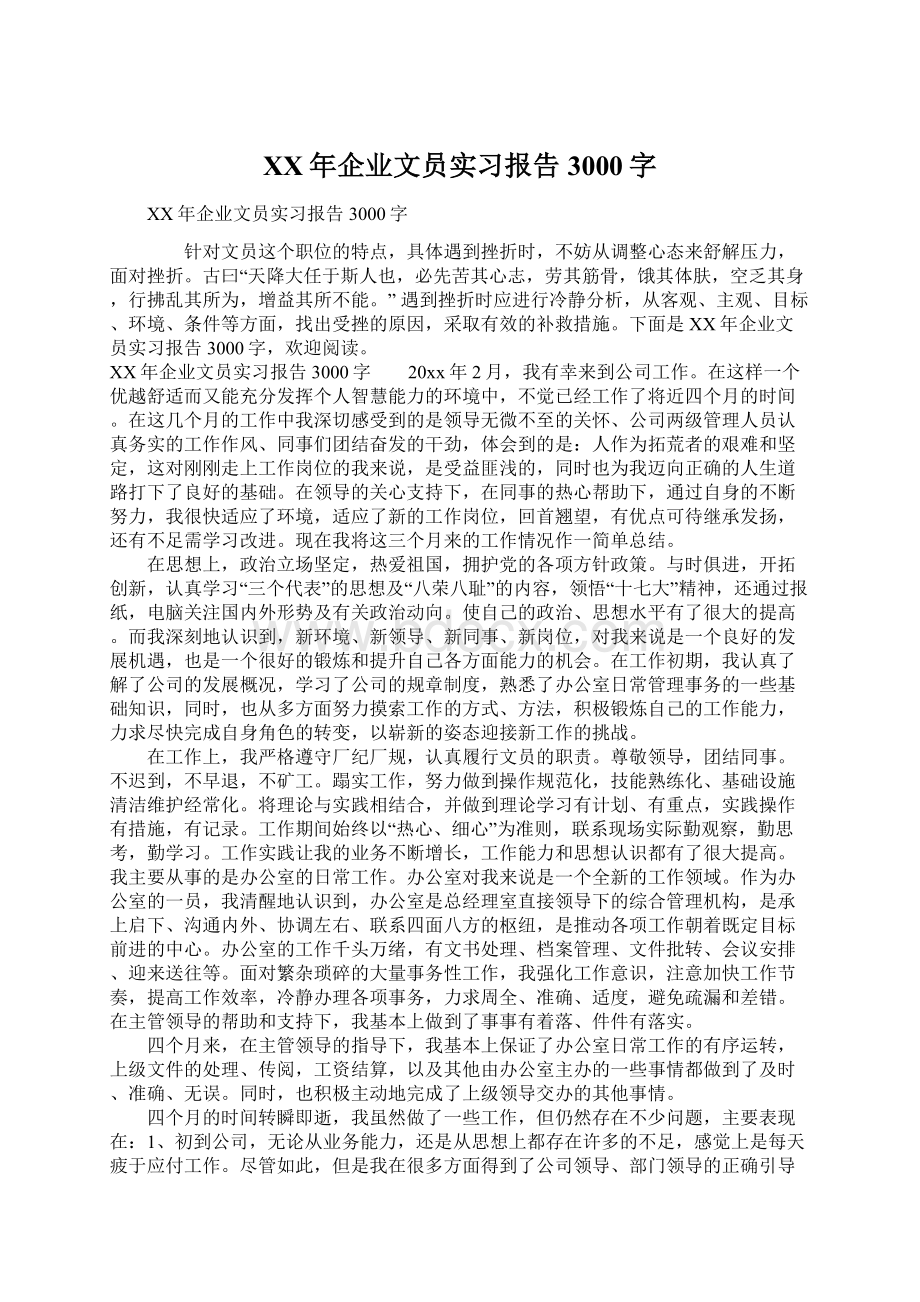 XX年企业文员实习报告3000字Word下载.docx