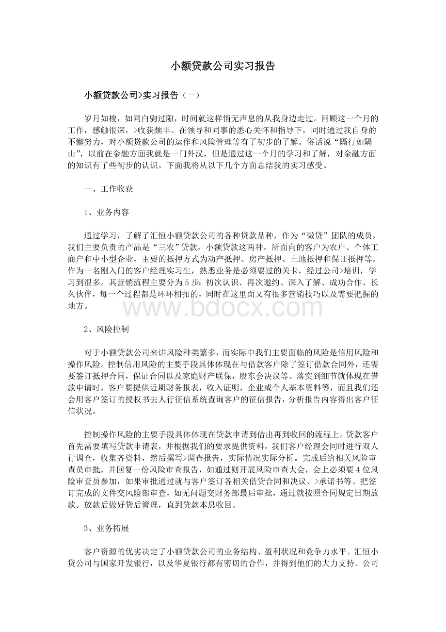 小额贷款公司实习报告.doc