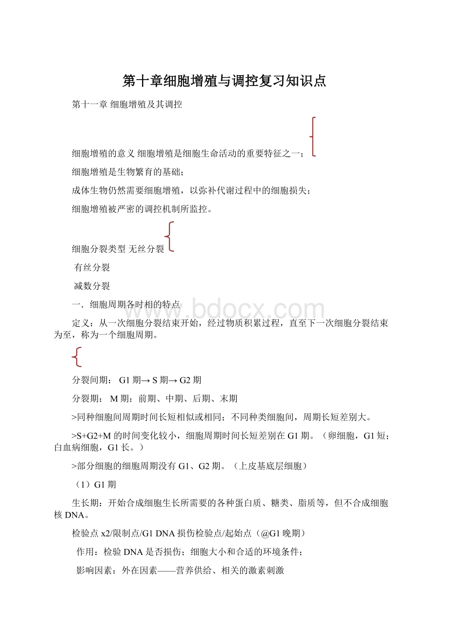 第十章细胞增殖与调控复习知识点文档格式.docx