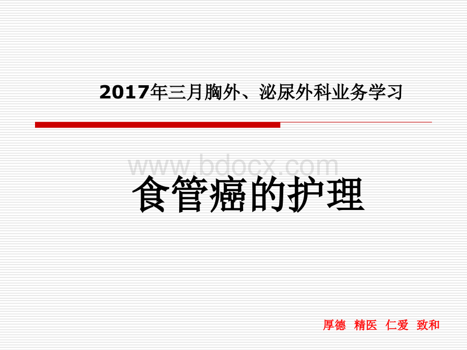 胸外泌尿科护理工作总结.pptx_第1页