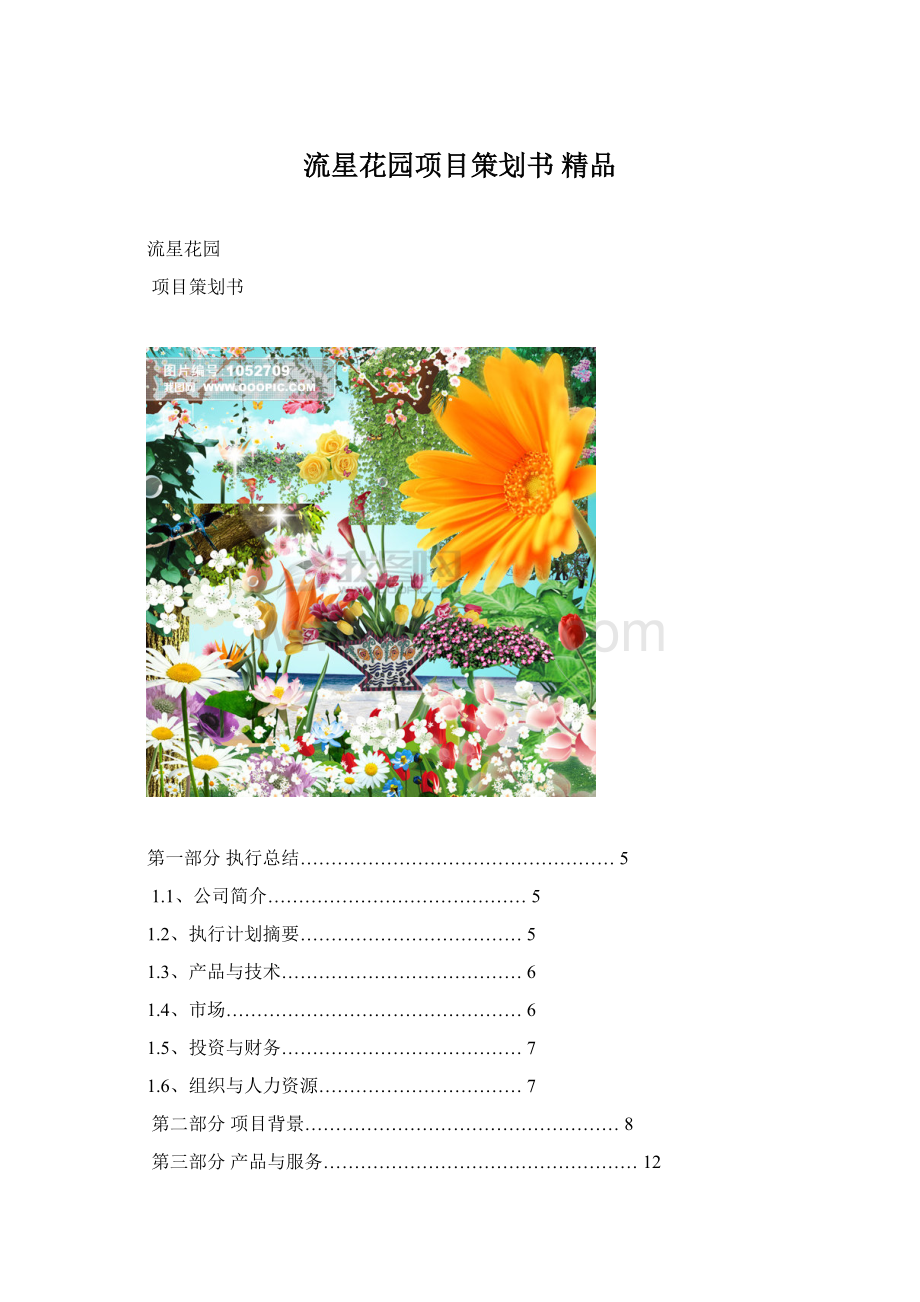 流星花园项目策划书 精品.docx