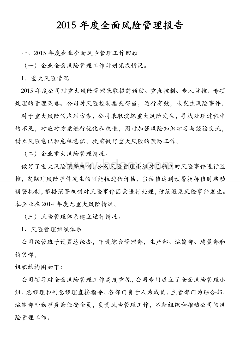 全面风险管理报告Word格式文档下载.doc_第1页