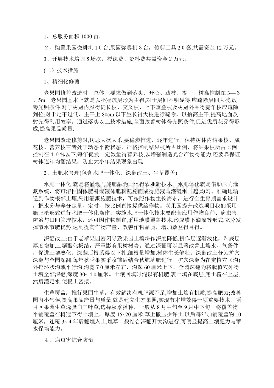 农业生产社会化服务项目实施方案Word下载.docx_第3页