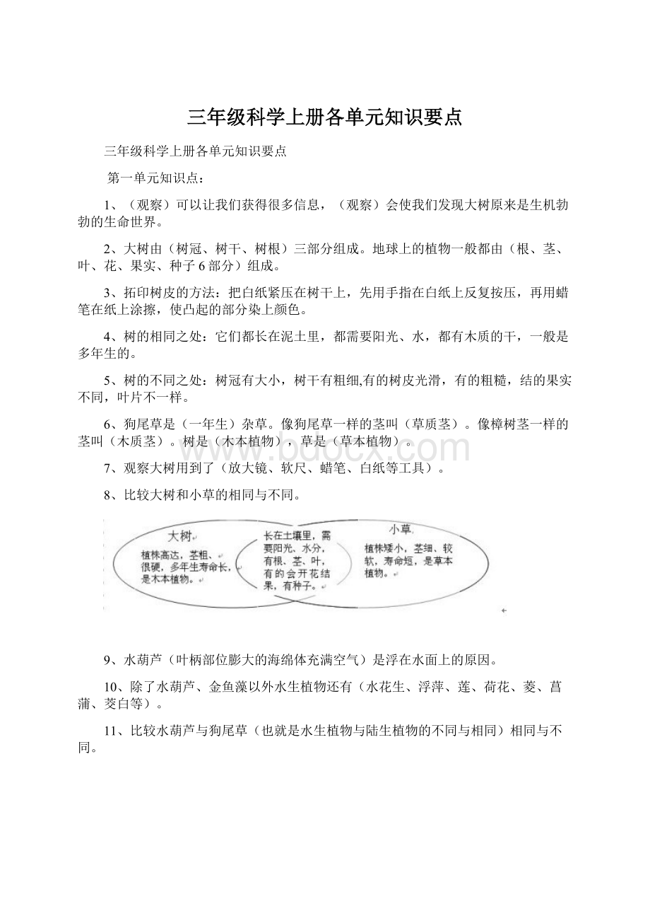 三年级科学上册各单元知识要点.docx