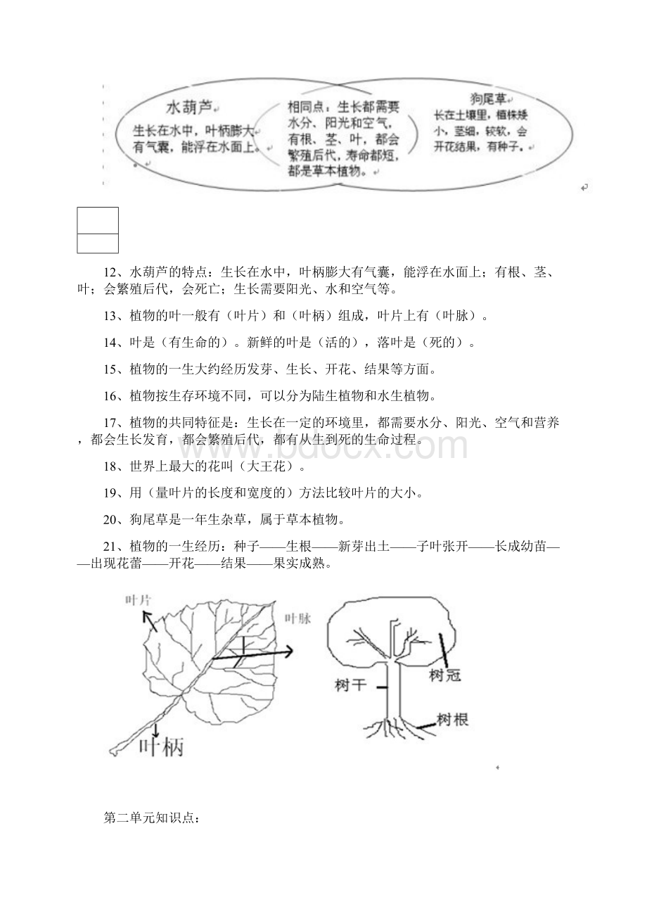 三年级科学上册各单元知识要点.docx_第2页