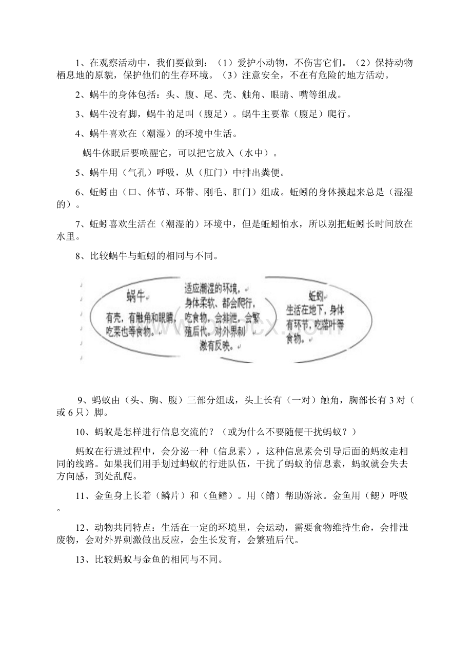 三年级科学上册各单元知识要点.docx_第3页