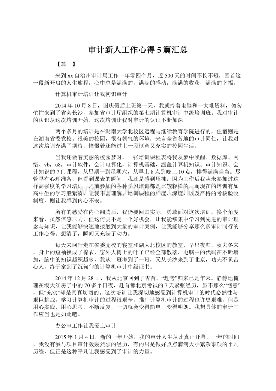 审计新人工作心得5篇汇总Word格式文档下载.docx