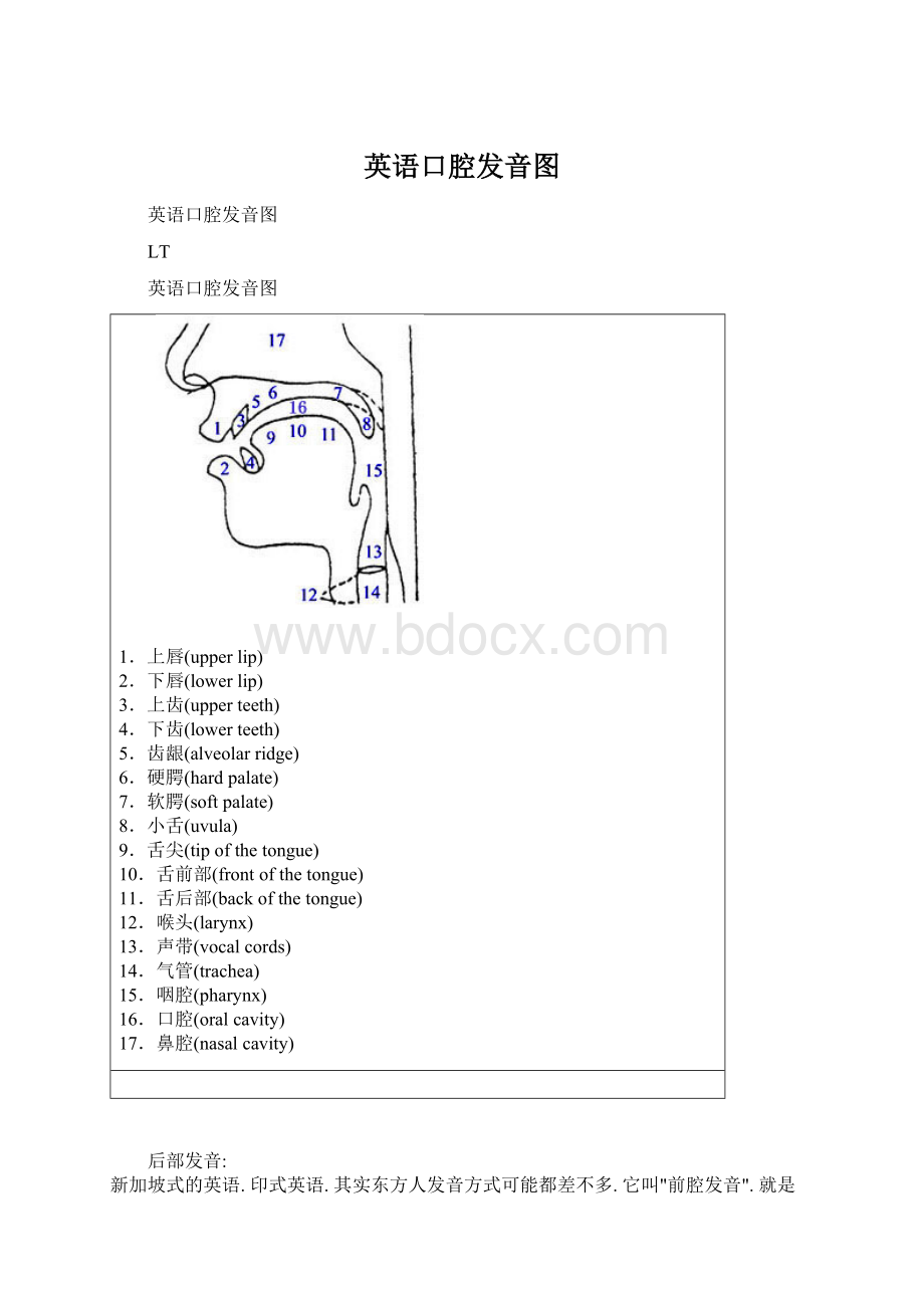 英语口腔发音图.docx_第1页