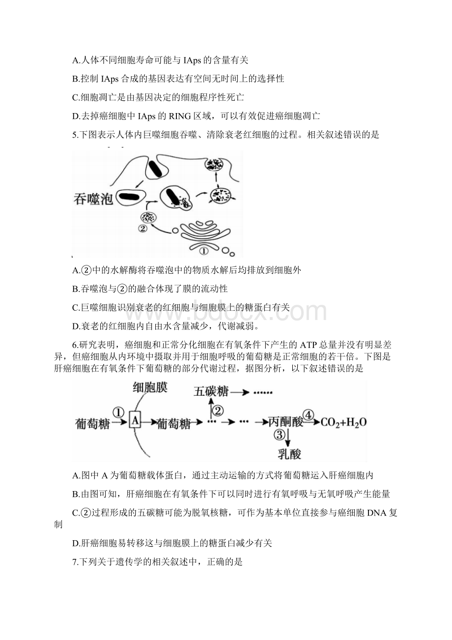 安徽省蚌埠市学年高一生物下学期期末考试试题含答案Word格式文档下载.docx_第2页