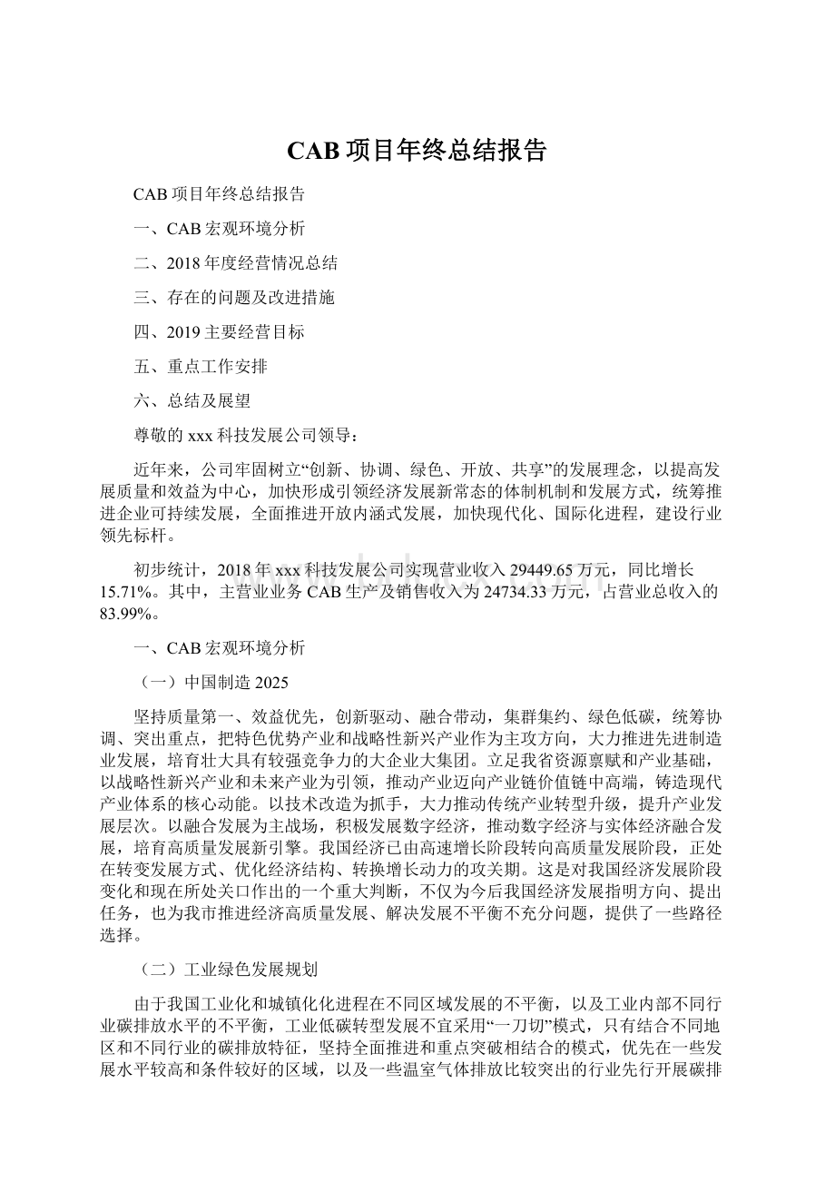 CAB项目年终总结报告.docx