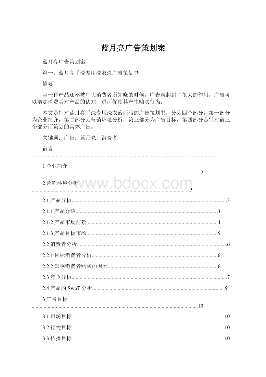 蓝月亮广告策划案Word格式.docx