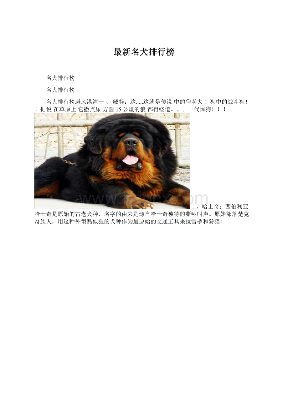 最新名犬排行榜Word格式文档下载.docx_第1页