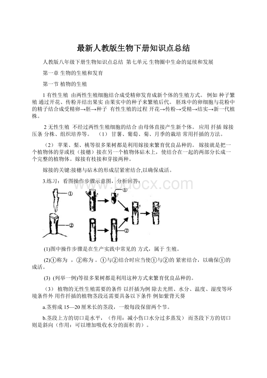 最新人教版生物下册知识点总结.docx