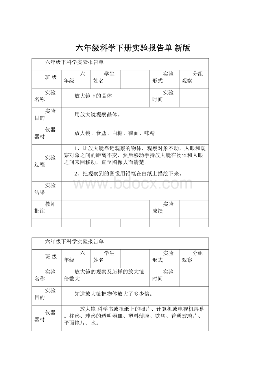 六年级科学下册实验报告单 新版Word文档下载推荐.docx_第1页