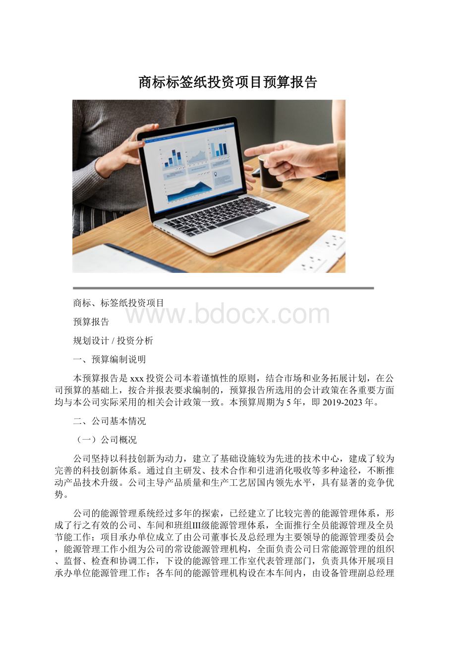 商标标签纸投资项目预算报告.docx