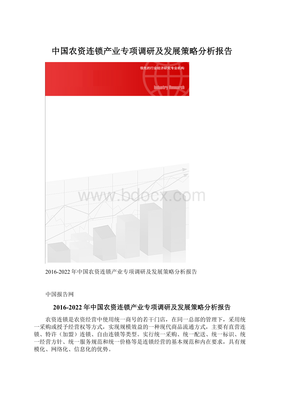 中国农资连锁产业专项调研及发展策略分析报告Word下载.docx