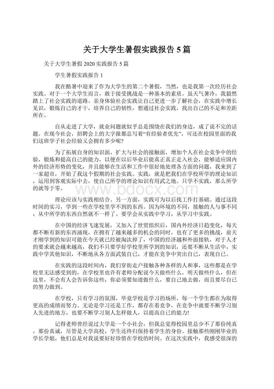 关于大学生暑假实践报告5篇.docx