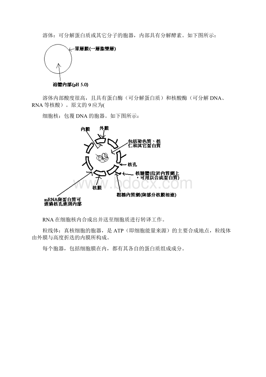 细胞与细胞膜.docx_第3页